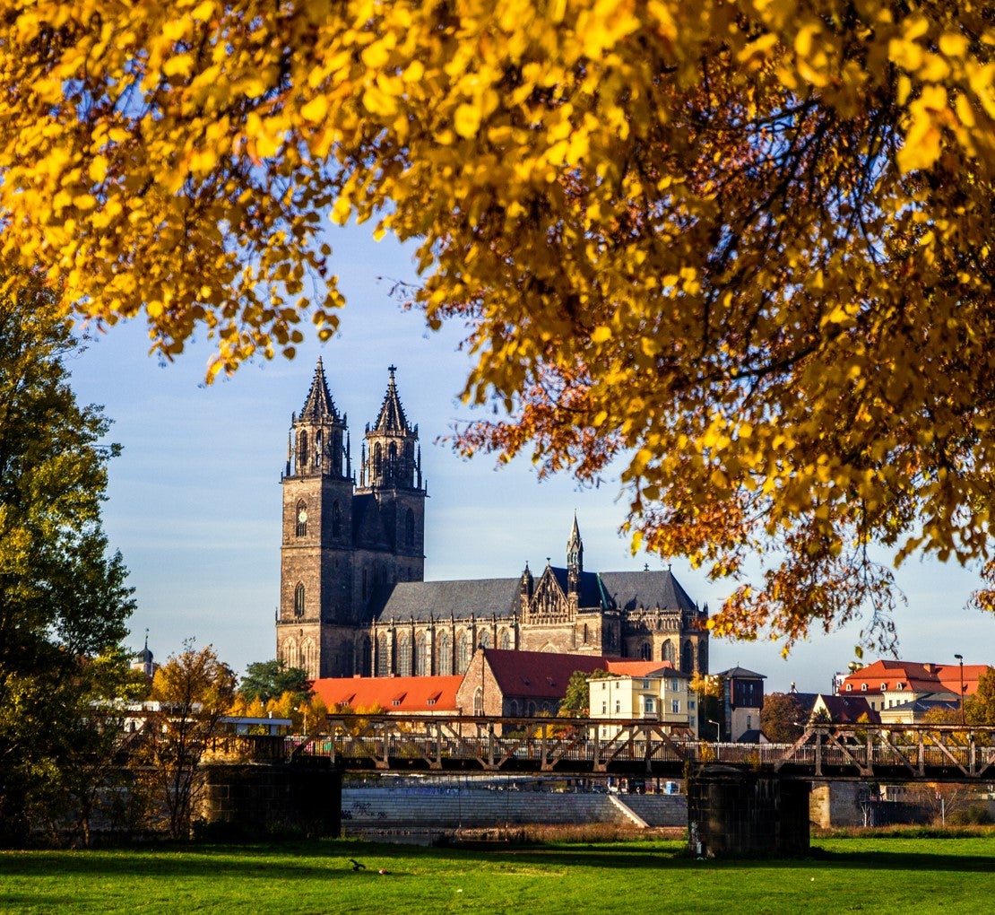 Blick auf Magdeburger Dom von weitem