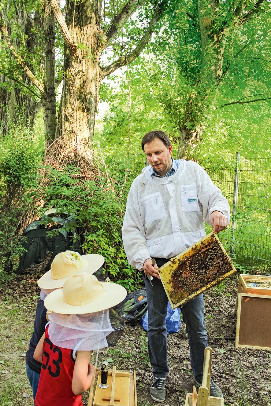 Imker zeigt Kindern Bienenstock im waldigen Hinterhof.